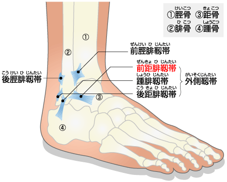 痛い て 足首 ない 腫れ いつまでも足首が痛い原因と治し方